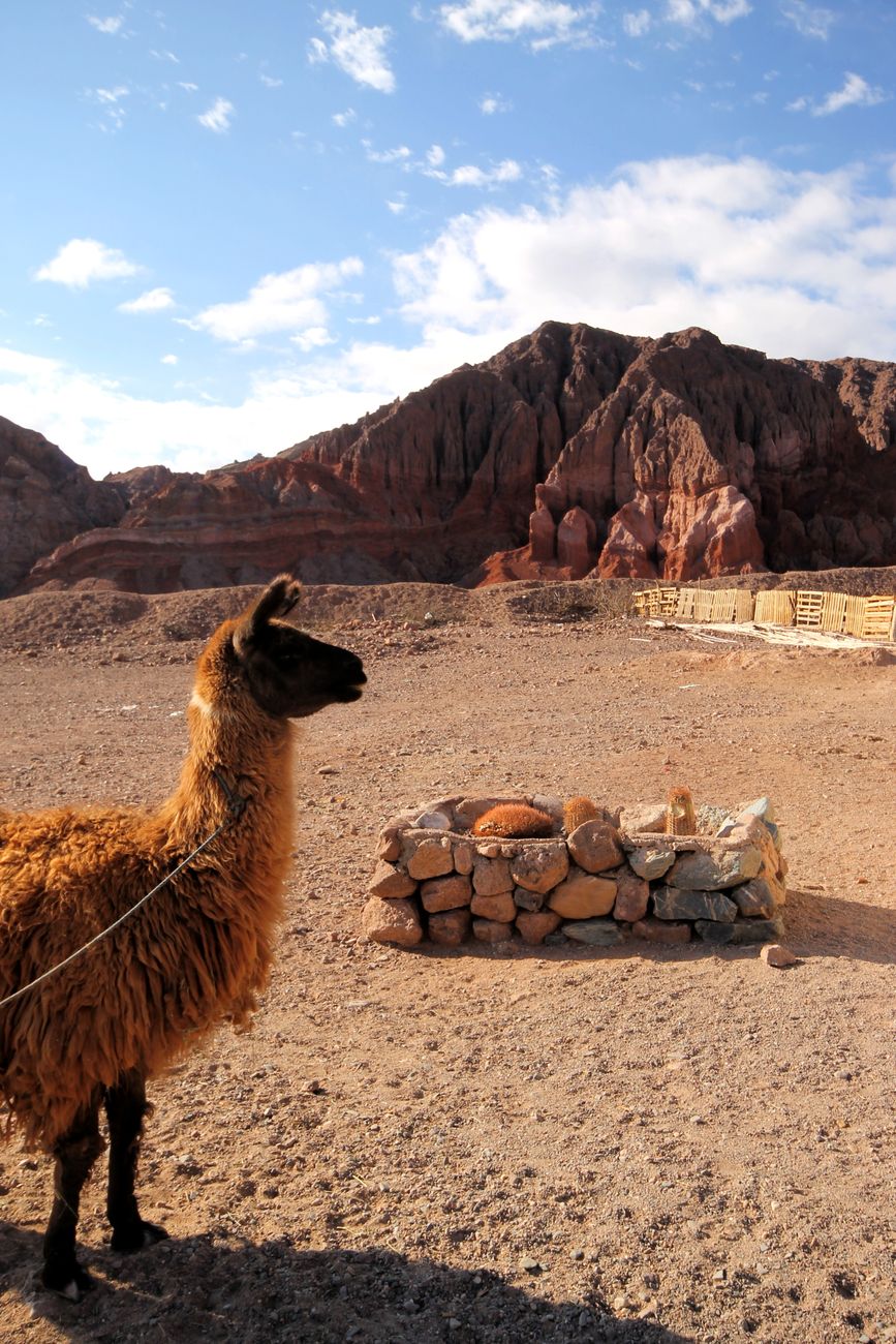 Pueblo de adobe y cardones en los cerros multicolores de Salta